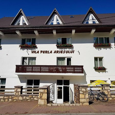 Pensiunea Perla Ariesului Albac Exterior photo