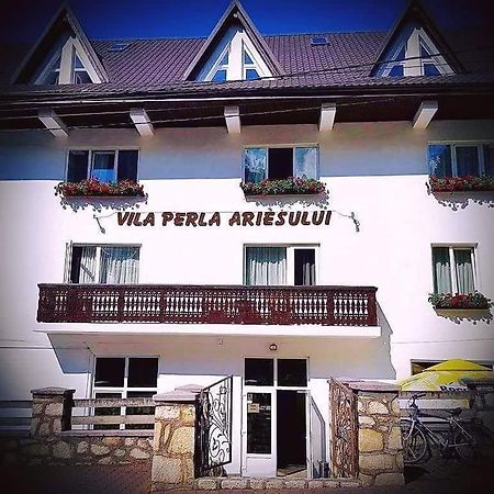Pensiunea Perla Ariesului Albac Exterior photo