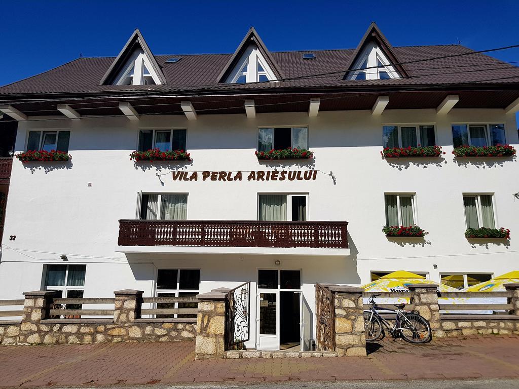 Pensiunea Perla Ariesului Albac Exterior photo