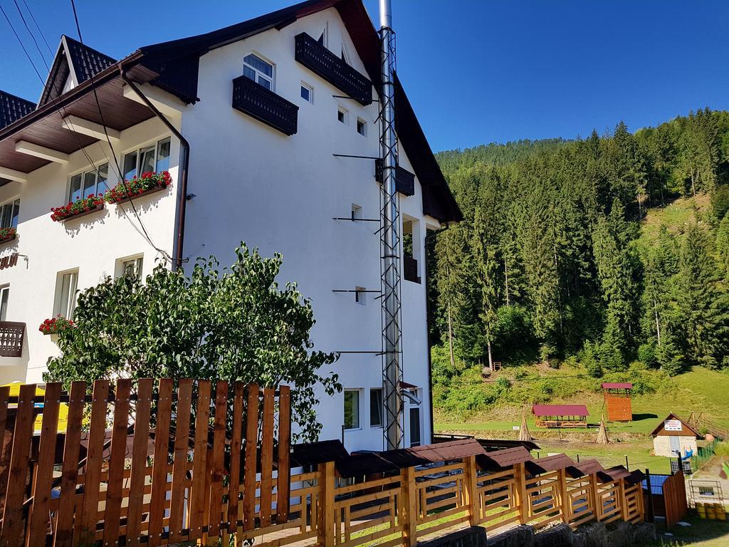 Pensiunea Perla Ariesului Albac Exterior photo